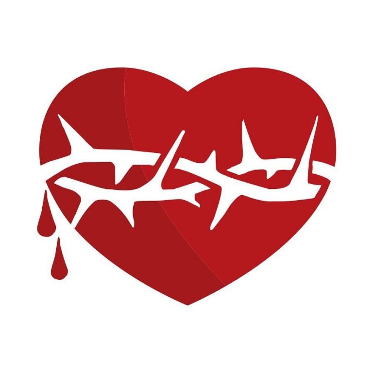 Les temps forts de la Conférence Nationale de Guérison d' avril 2017 à PORT-MARLY (78)