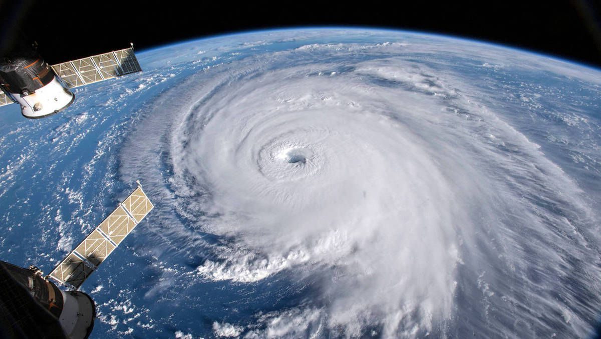 ob_09eab8_flo-2365467