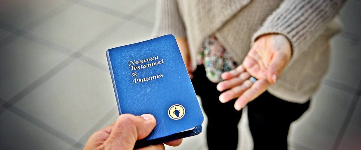 ob_0eadf1_gede-5561659