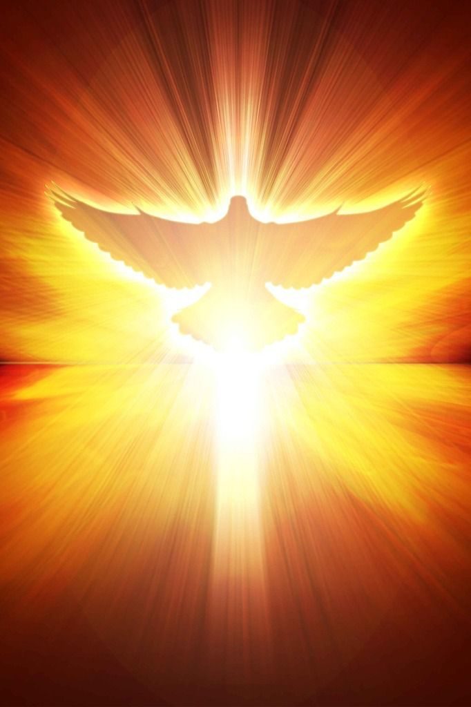 ob_2b4201_es-8432434