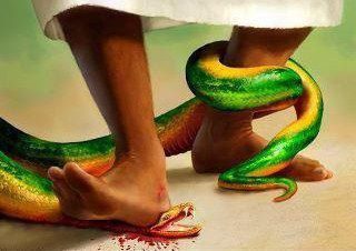 ob_7554ac_diap-2925585