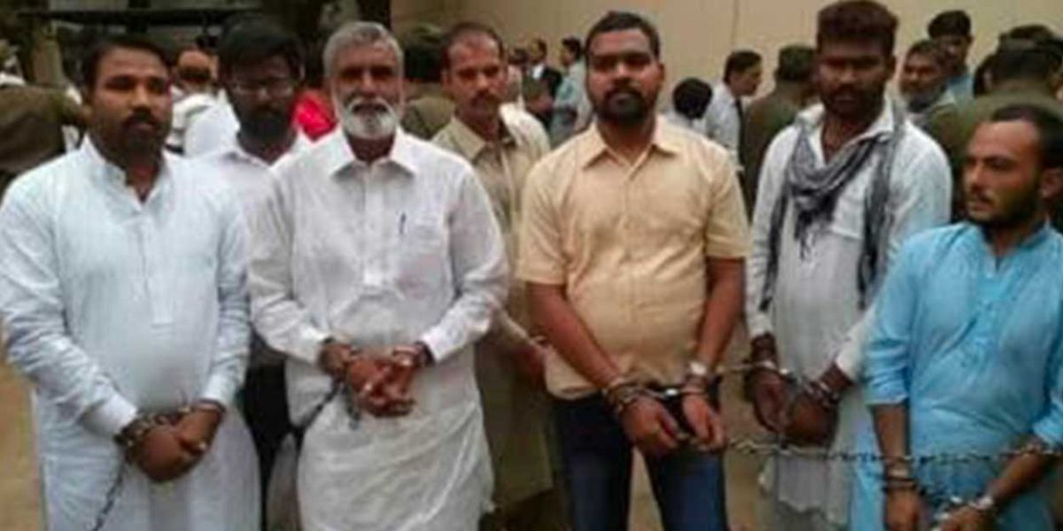 ob_fc01b6_pak-7587571