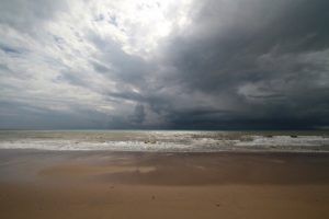 img_2743-ld-300x200-7129145