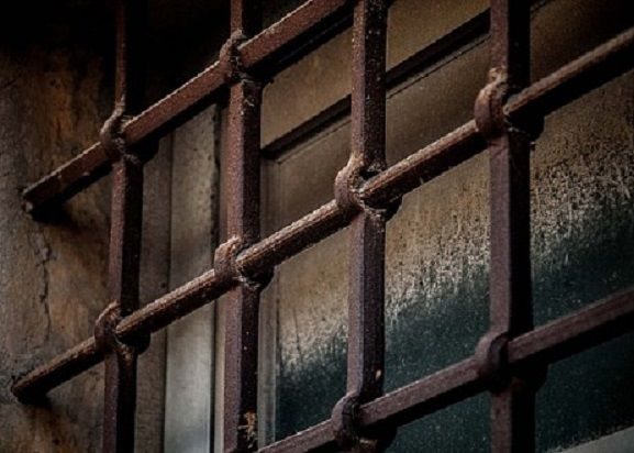 ob_050396_ery-7691129