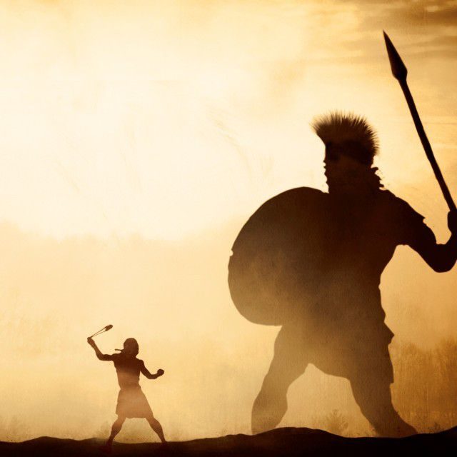 ob_242292_david-2036669