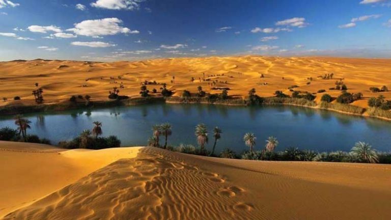 ob_3dded2_desert-8509762