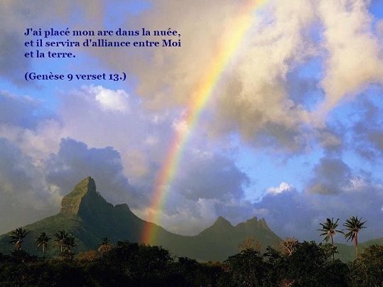 ob_f5ac60_arc-4017254