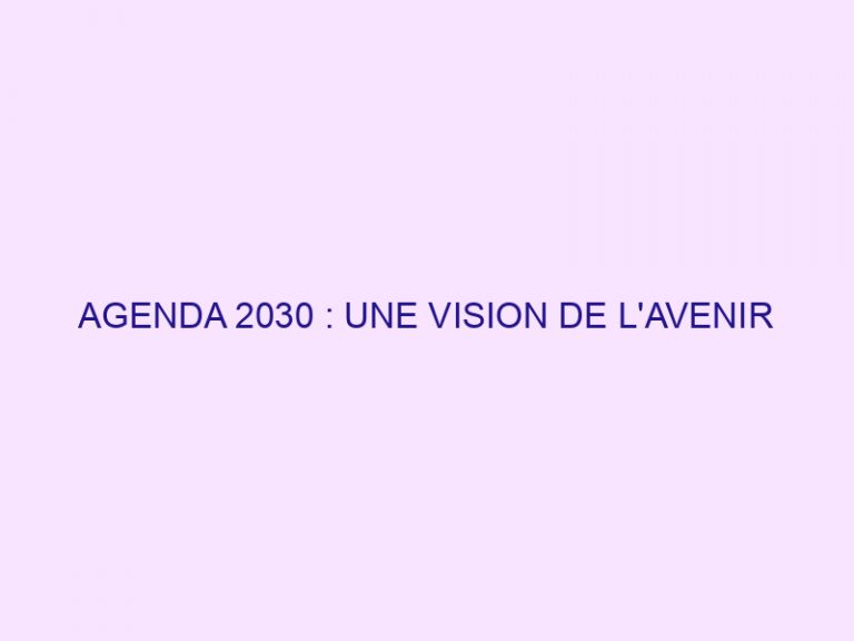 AGENDA 2030 : UNE VISION DE L'AVENIR