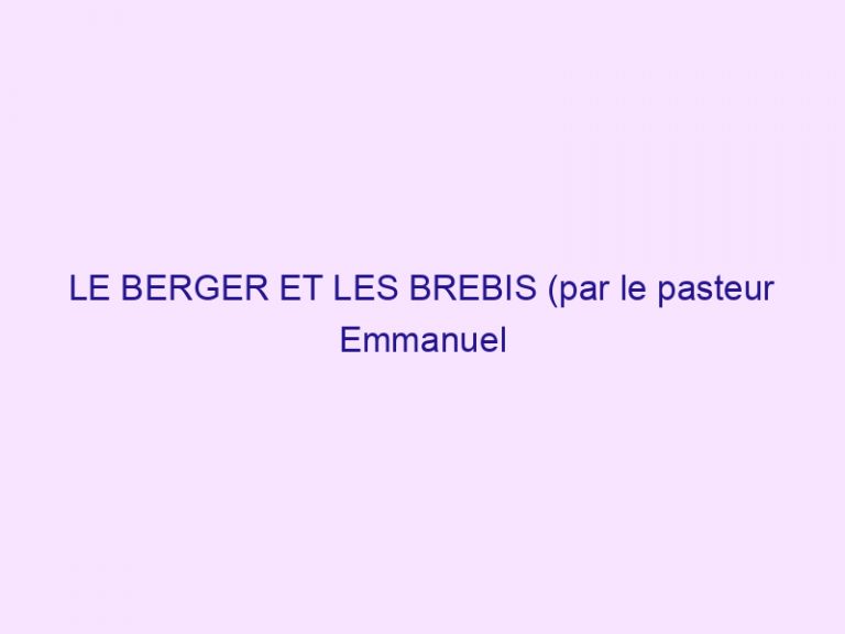 LE BERGER ET LES BREBIS (par le pasteur Emmanuel Piras)