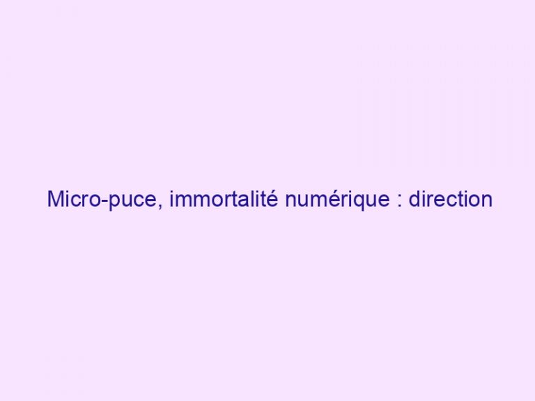 Micro-puce, immortalité numérique : direction vers l'homme cyborg