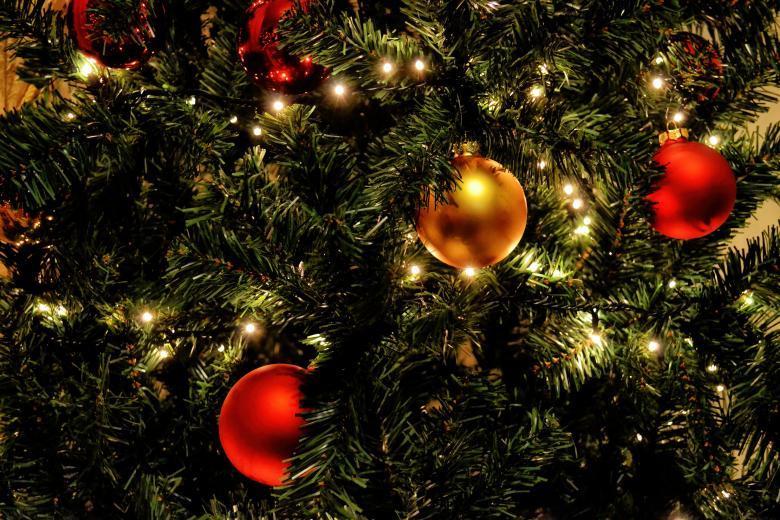 La bibliothèque du Massachusetts affichera des arbres de Noël après un contrecoup, affirme qu '«il n'y a pas d'interdiction de Noël»