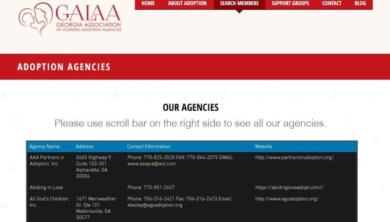 Capture d'écran du site Web de la Georgia Association of Licensed Adoption Agencies