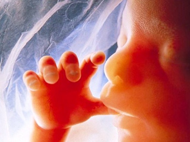 Le premier «bébé à 3 parents» du Royaume-Uni franchit la ligne éthique, avertit une association caritative chrétienne