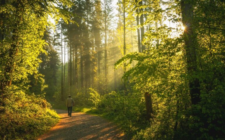 Manifeste de formation spirituelle : Moyens pratiques pour suivre Jésus