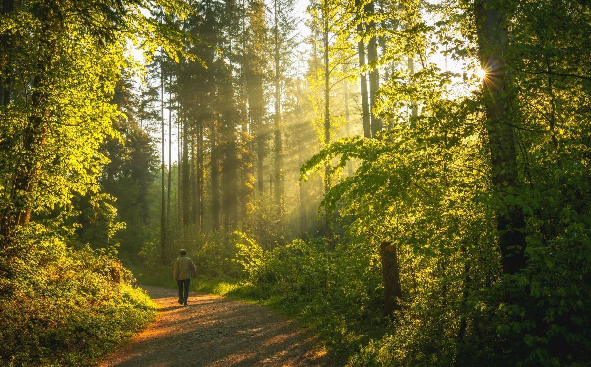 Manifeste de formation spirituelle : Moyens pratiques pour suivre Jésus