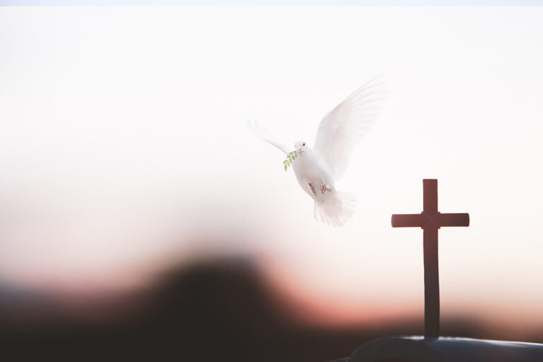 Méditation quotidienne sur la proximité de Jésus (extrait exclusif)