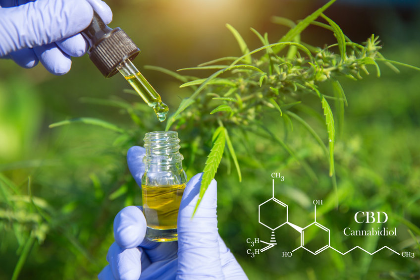 Peut-on consommer des produits à base de CBD en tant que chrétien ?