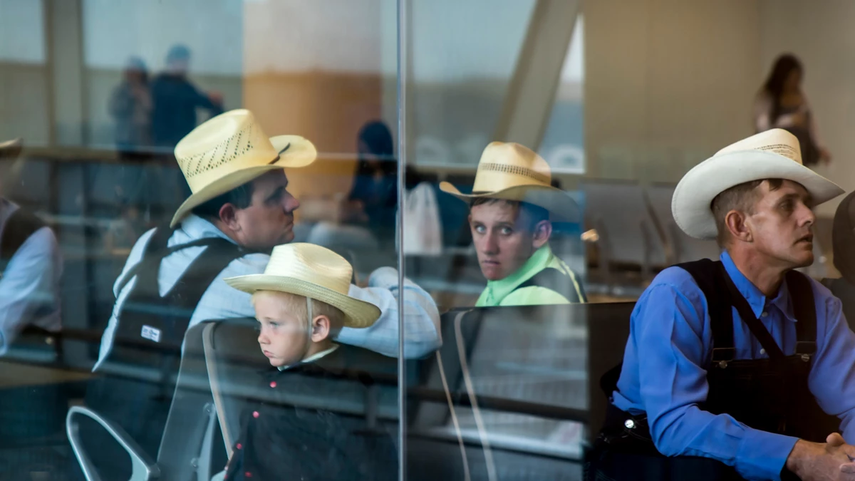 Comment les mennonites ont appris à prospérer en Amérique latine