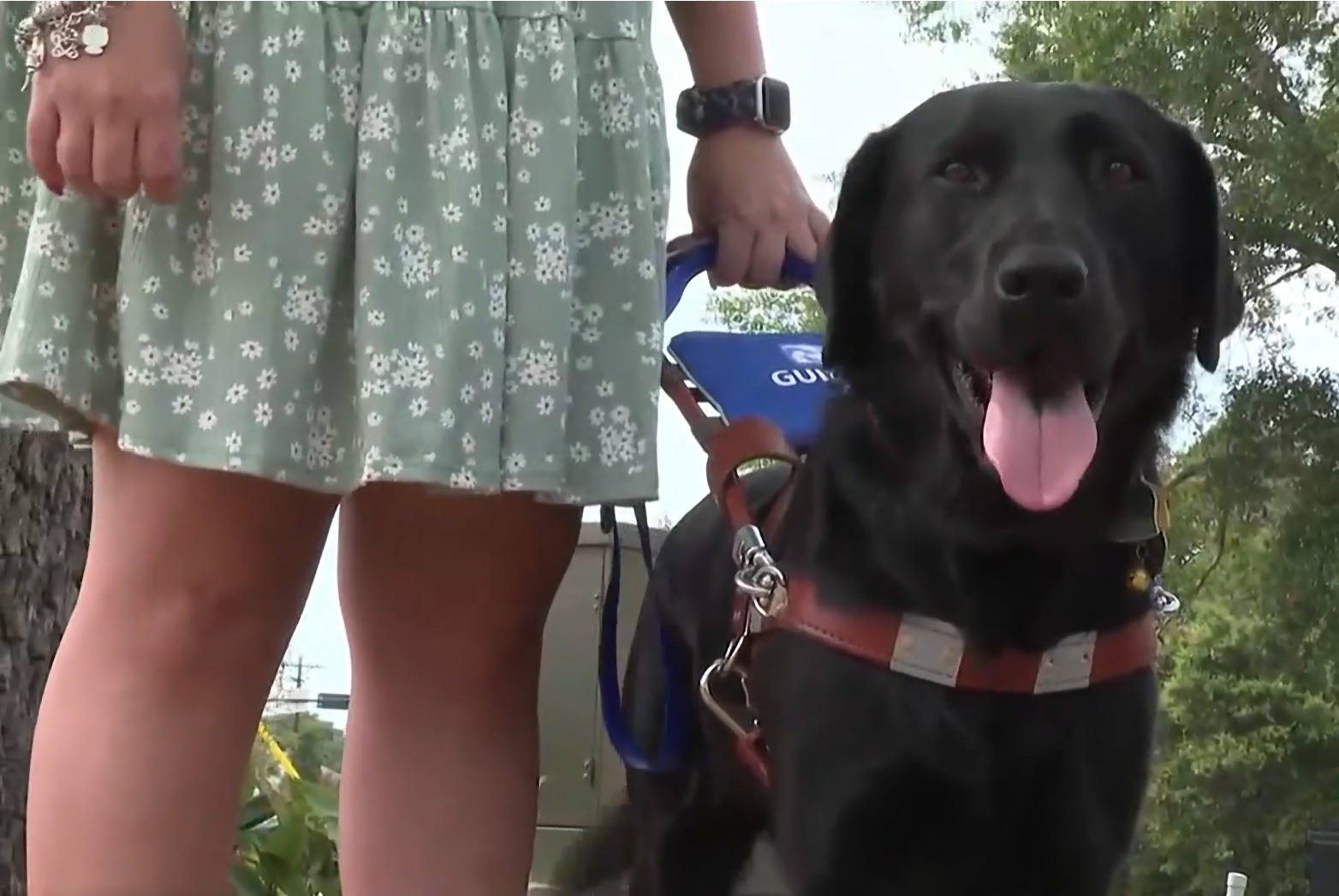 Une femme aveugle se voit refuser l’entrée à l’église à cause d’un chien-guide