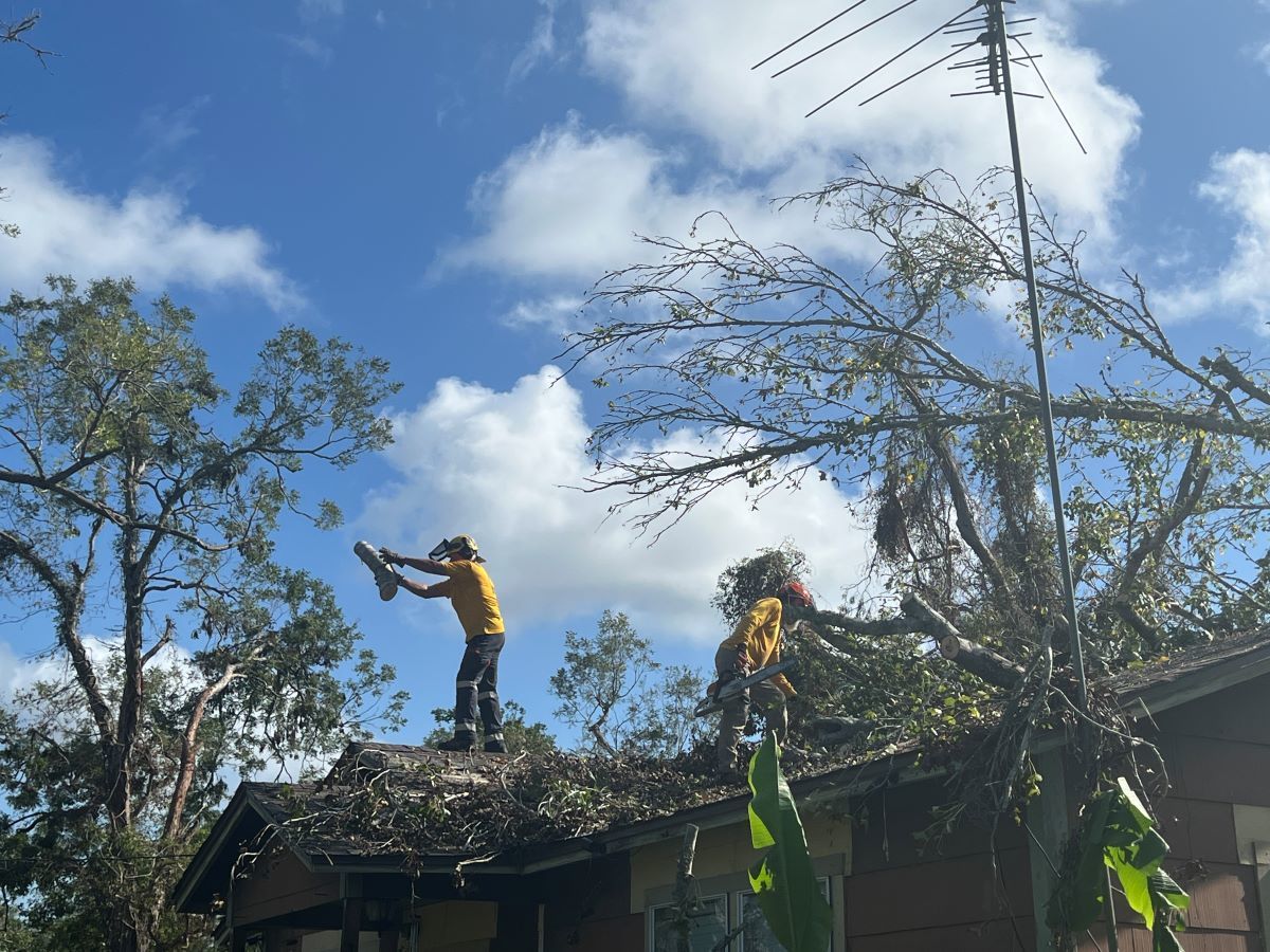 Les baptistes aident leurs voisins dans le besoin après l'ouragan Beryl ; les Texans en mission préparent 60 000 repas