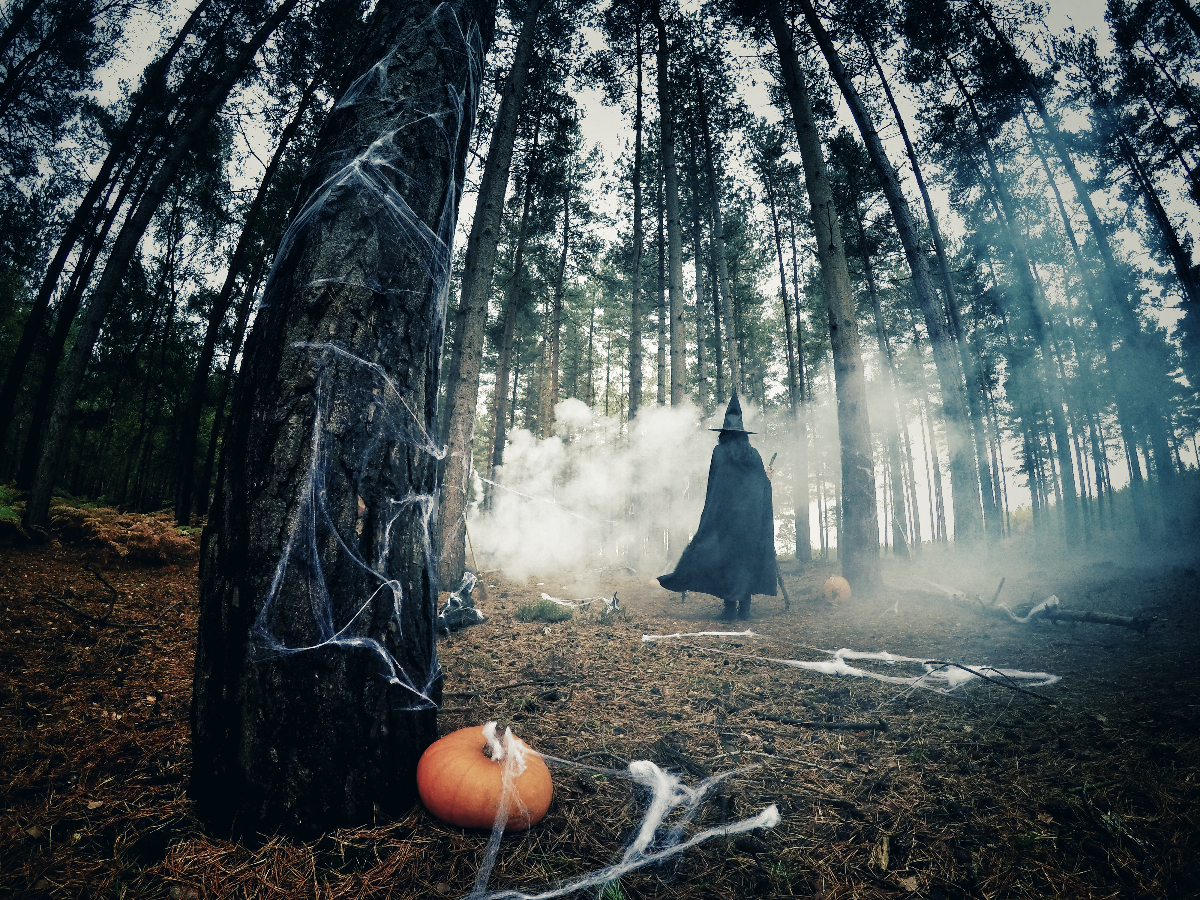 La ville ordonne à un homme de retirer une exposition d'Halloween « offensante » et des empreintes de mains sanglantes dans une garderie suscitent des débats