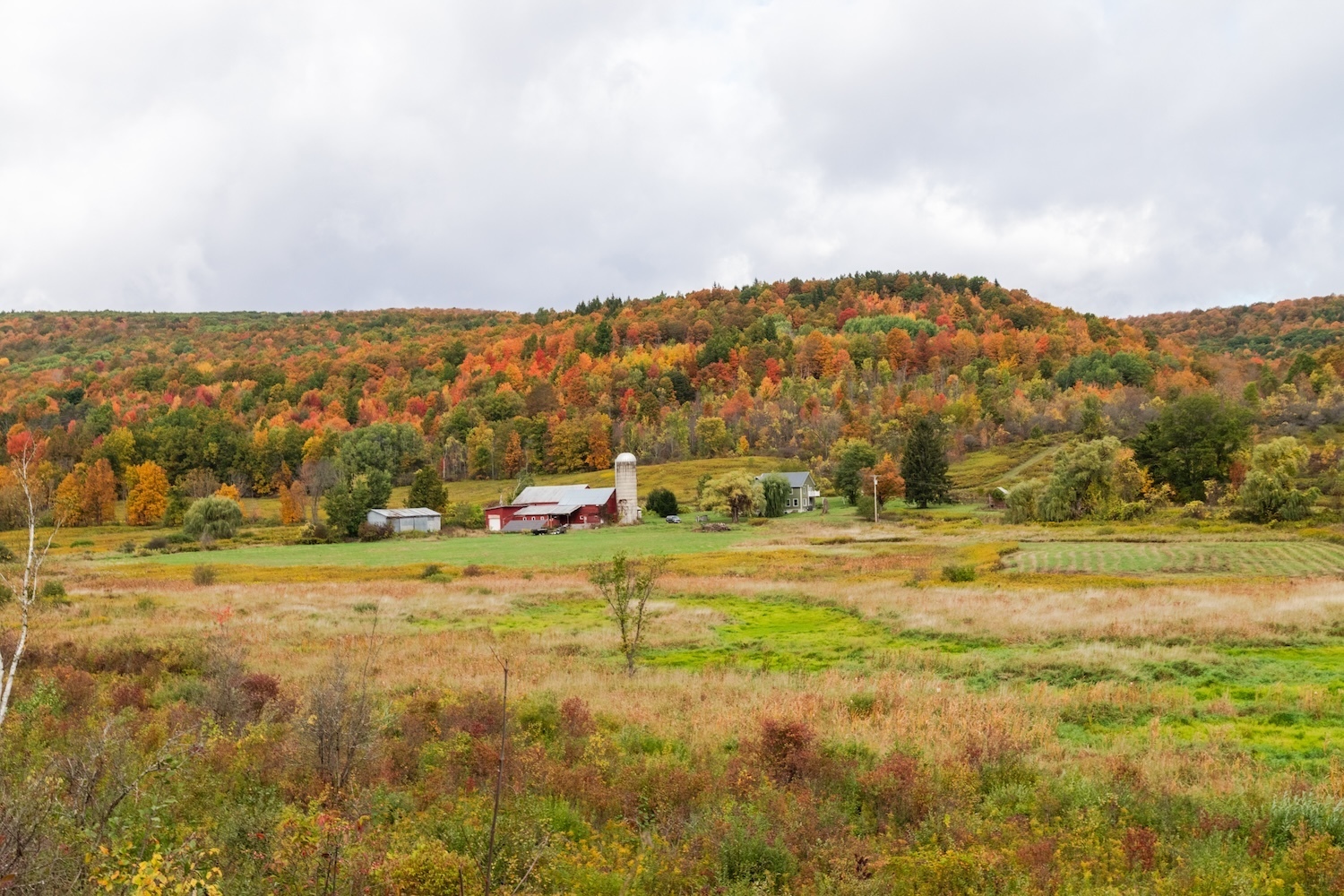 Voyage: Cooperstown ancre un road trip d'automne dans les comtés d'Otsego et de Schoharie