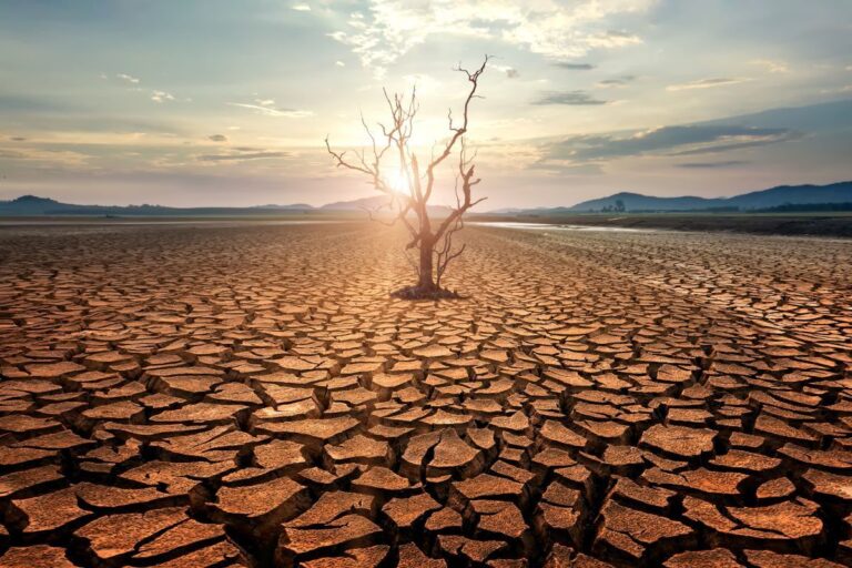 La protection de l’environnement est biblique. Les prophètes associent souvent les dégâts à l’échec moral