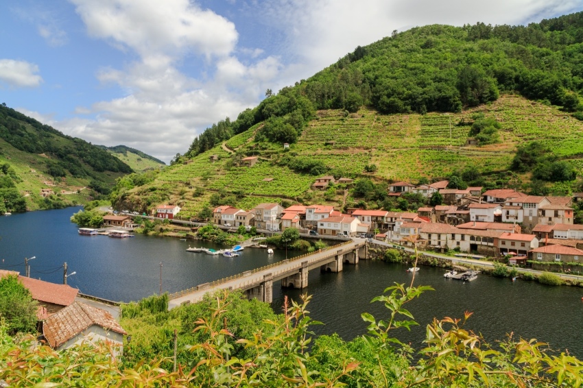 Des vignobles entourent Belesar, un village situé des deux côtés du fleuve Minho, en Galice, en Espagne.
